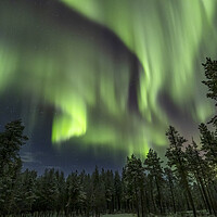 Buy canvas prints of Aurora borealis by Arterra 