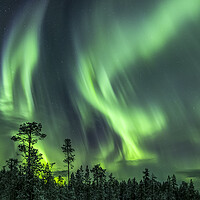 Buy canvas prints of Northern Lights in Sweden by Arterra 