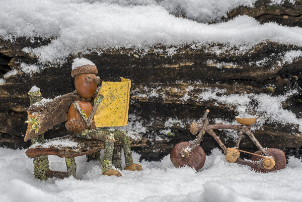 Little Acorn Man Reading Newspaper in the Snow Picture Board by Arterra 
