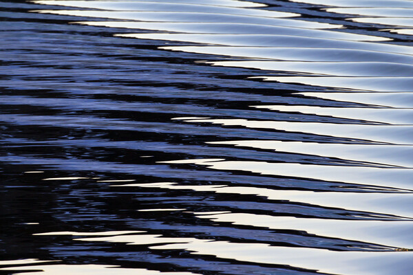 Water Ripples in Lake Picture Board by Arterra 