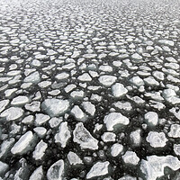Buy canvas prints of Drift Ice in Arctic Sea, Svalbard by Arterra 