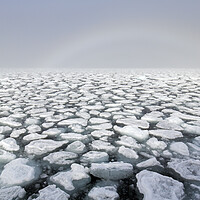 Buy canvas prints of Drifting Ice Floes in Arctic Ocean, Svalbard by Arterra 