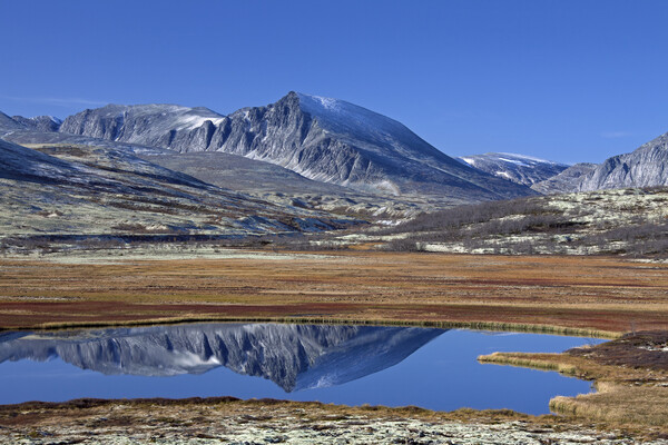 Rondane National Park in Dovre, Norway Picture Board by Arterra 