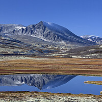 Buy canvas prints of Rondane National Park in Dovre, Norway by Arterra 