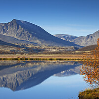 Buy canvas prints of Rondane National Park in Autumn, Dovre, Norway by Arterra 