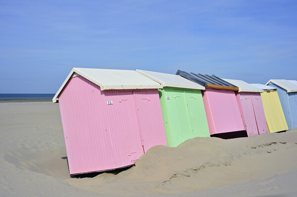 Pastel Coloured Beach Huts Picture Board by Arterra 