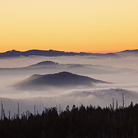 Buy canvas prints of Bavarian Forest Covered in Mist, Germany by Arterra 