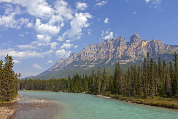 Castle Mountain and the Bow River in Banff National Park, Alberta Picture Board by Arterra 