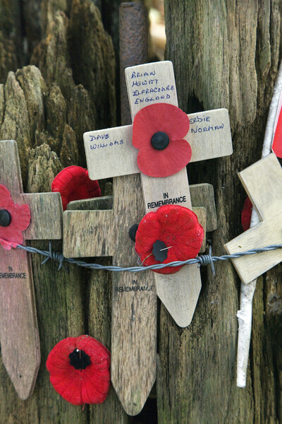 Poppies and Crosses at Hill 62, Zillebeke Picture Board by Arterra 