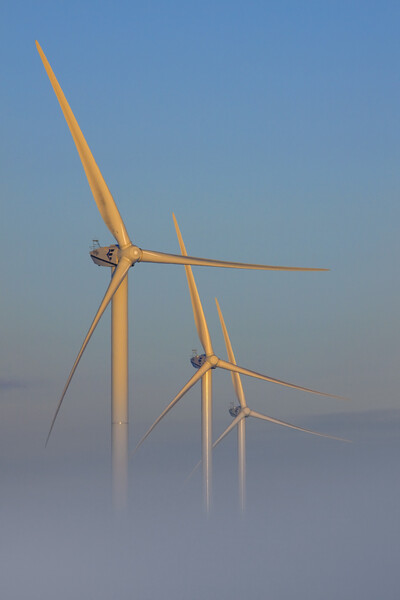 Three Wind Turbines in the Mist Picture Board by Arterra 