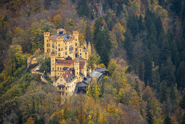 Hohenschwangau Castle in Autumn Picture Board by Arterra 
