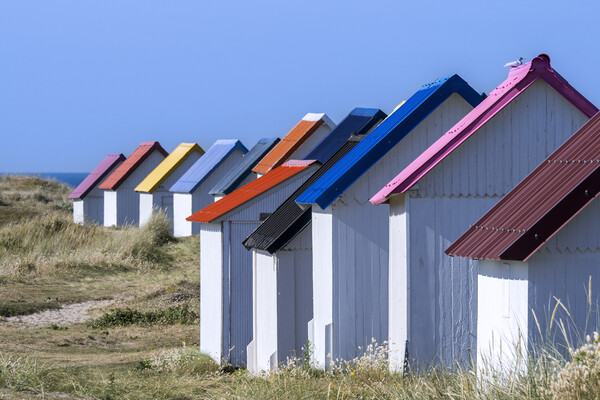 Colourful Beach Huts in Normandy Picture Board by Arterra 