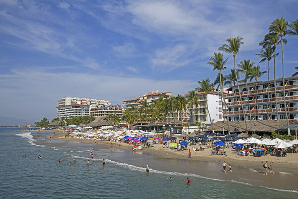 Puerto Vallarta at Bahía de Banderas, Jalisco, Mexico Picture Board by Arterra 