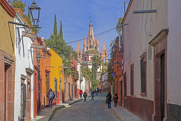 Calle Aldama in San Miguel de Allende, Guanajuato, Mexico Picture Board by Arterra 