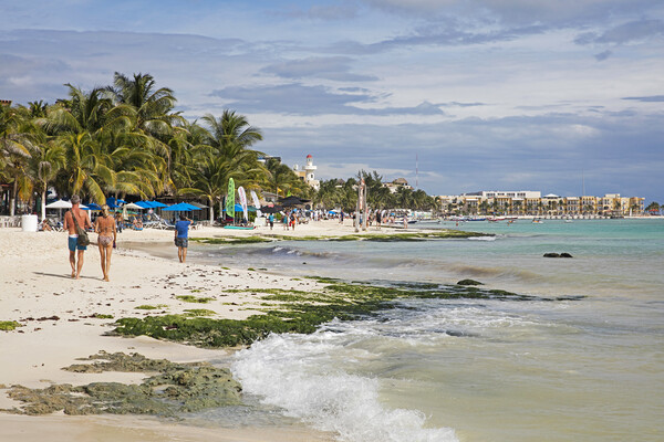 Beach at Playa Del Carmen, Riviera Maya, Yucatan, Mexico Picture Board by Arterra 