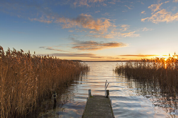 Jetty at Lake Ratzeburg at Sunset, Germany Picture Board by Arterra 