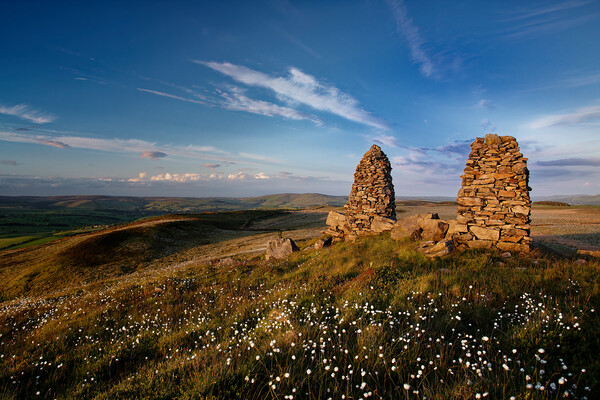 Towering Beauty in Yorkshire's Countryside Picture Board by Jim Round