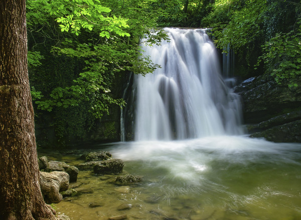 The Mesmerizing Beauty of Janets Foss Waterfall Picture Board by Jim Round