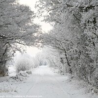 Buy canvas prints of Snow on The Somerset Levels by Philip Gough