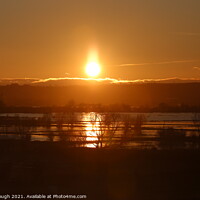 Buy canvas prints of Sunset On The Floods On Somerset Levels by Philip Gough