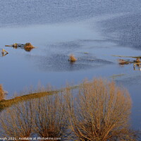 Buy canvas prints of Floods on the Levels by Philip Gough