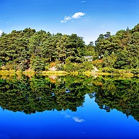 Buy canvas prints of Lakeland Mirror by Philip Gough