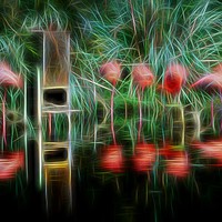 Buy canvas prints of Flamingo Party by Philip Gough
