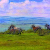 Buy canvas prints of Galloping Across Dartmoor  by Philip Gough