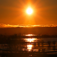Buy canvas prints of Sunset Over The Somerset Levels Floods by Philip Gough
