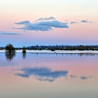 Buy canvas prints of Reflection In The Flood by Philip Gough