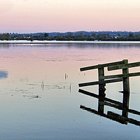Buy canvas prints of Flooded Fence by Philip Gough