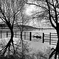 Buy canvas prints of Somerset Levels Floods by Philip Gough