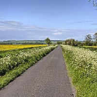 Buy canvas prints of Road Through the Somerset Levels by Philip Gough