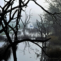 Buy canvas prints of Swans in the mist by Philip Gough