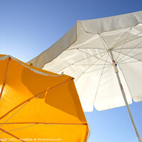 Buy canvas prints of Abstract summer brolly by Philip Gough