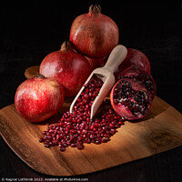 Buy canvas prints of Fresh pomegranate fruits and seeds by Ragnar Lothbrok