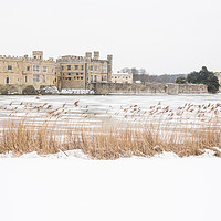 Buy canvas prints of Snowy  Leeds Castle  by Ricky Swift