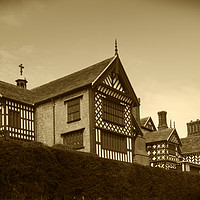 Buy canvas prints of Bramhall Hall sepia by Joseph Clemson