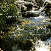 Buy canvas prints of Lovely water cascade at Plitvice National Park by Barbara Vizhanyo