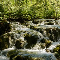 Buy canvas prints of Lovely water cascade at Plitvice National Park  by Barbara Vizhanyo