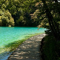 Buy canvas prints of Beautiful wooden road beside a lake in Plitvice Na by Barbara Vizhanyo