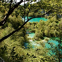 Buy canvas prints of Beautiful view at a couple of lakes in Plitvice Na by Barbara Vizhanyo