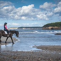 Buy canvas prints of Horse by the water by George Cairns