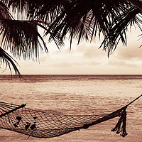 Buy canvas prints of Holiday Hammock by George Cairns