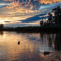 Buy canvas prints of Silhouetted ducks at sunset by George Cairns