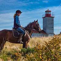 Buy canvas prints of Woman riding horse in Nova Scotia by George Cairns