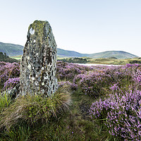Buy canvas prints of  Standing Stone and Heather by Janette Hill