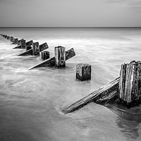 Buy canvas prints of Groynes at Barmouth in Mono by Janette Hill