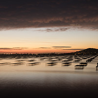 Buy canvas prints of Oyster Beds at Dawn II by Janette Hill