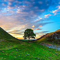 Buy canvas prints of The Iconic Sycamore Gap by John Carson